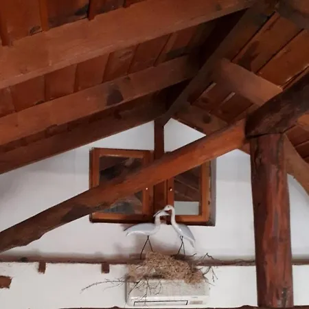 Campo Elea - Messenia *