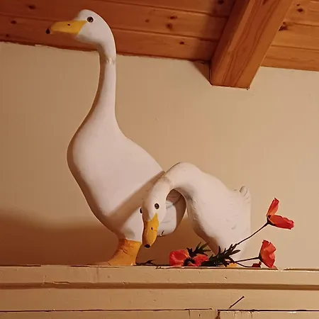 Campo Elea - Messenia Parque de Campismo *