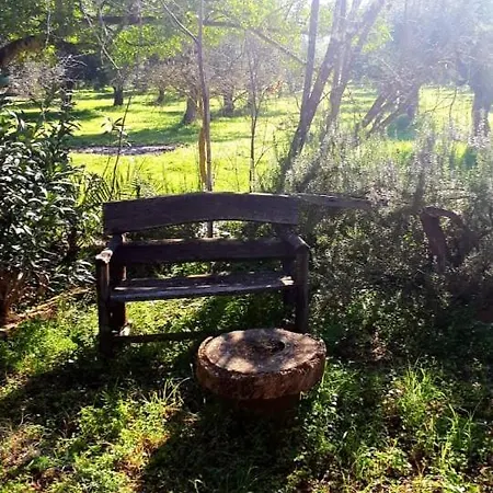 Parque de Campismo Campo Elea - Messenia *