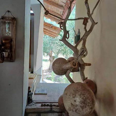 Campo Elea - Messenia * Eva