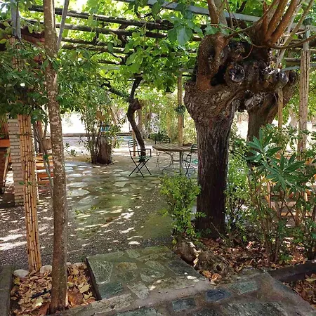 Κάμπινγκ Campo Elea - Messenia Eva