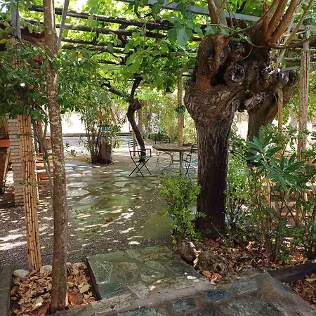 Campsite Campo Elea - Messenia Eva