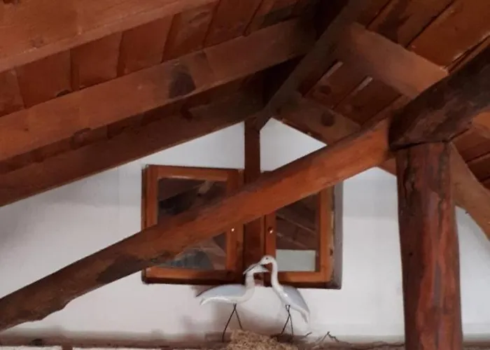 Campo Elea - Messenia *