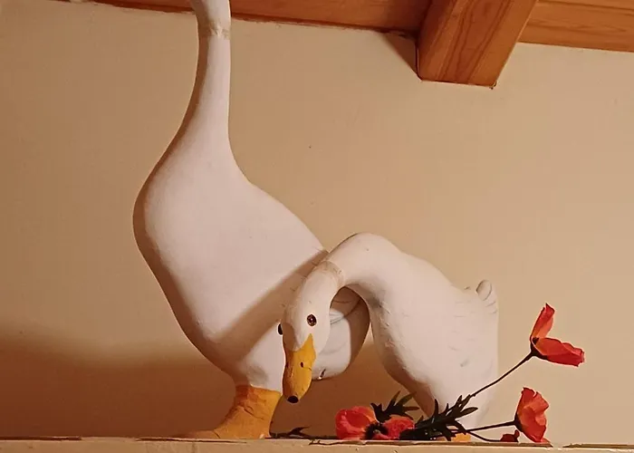 Campo Elea - Messenia Kemping *